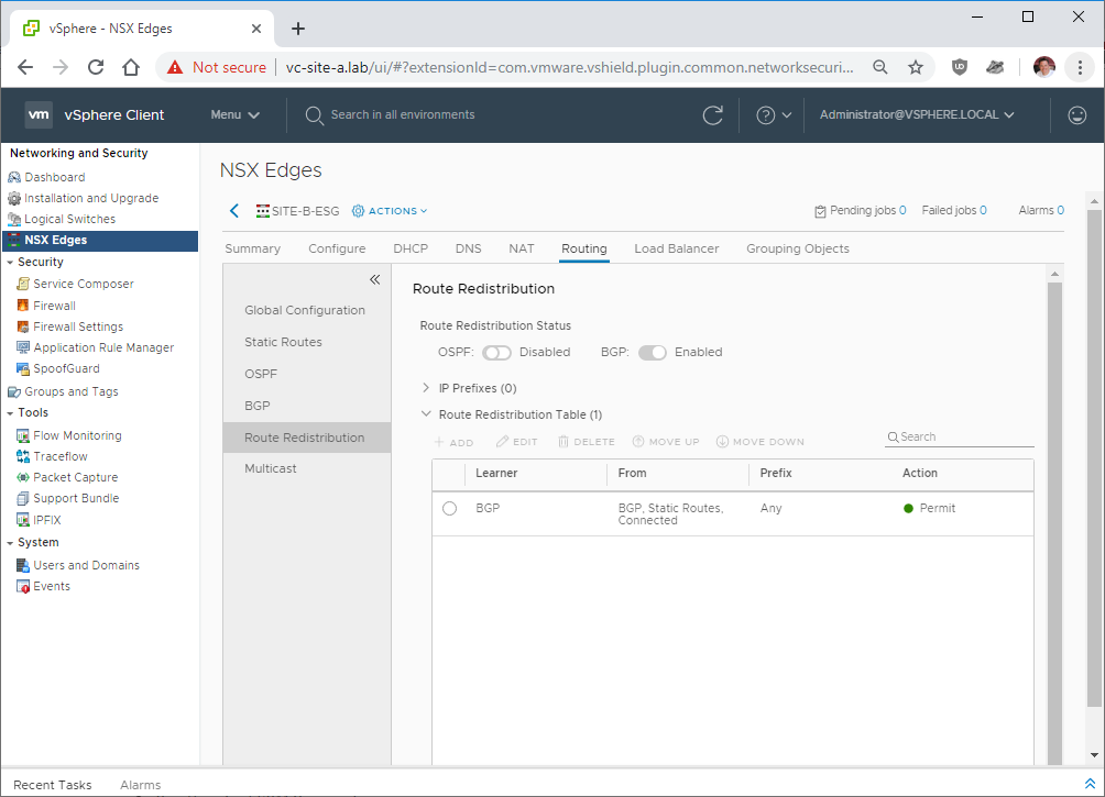 NSX Secondary ESG Route Redistribution