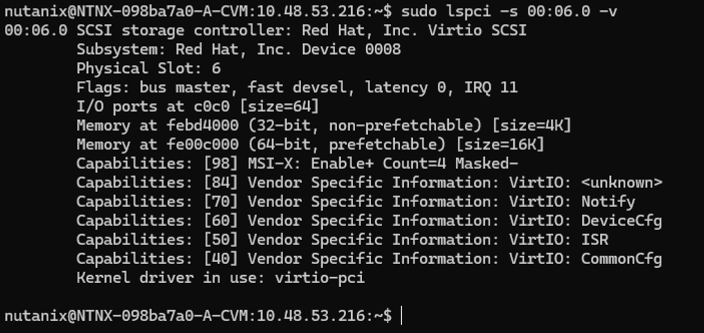 CVM lspci closer look