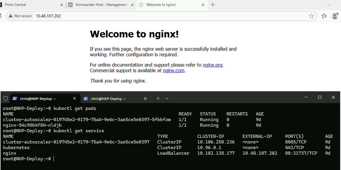 nginx Container