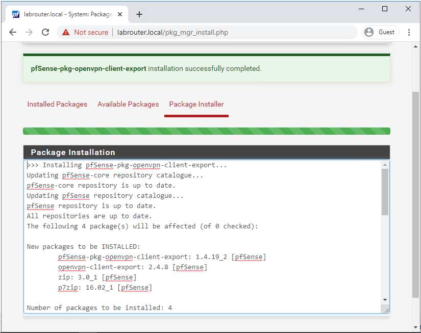 OpenVPN Client Package Install