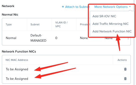 Network Function NICs